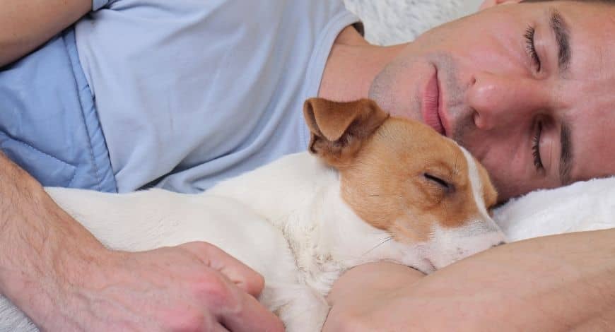 Por qué es malo dormir con un perro según los médicos